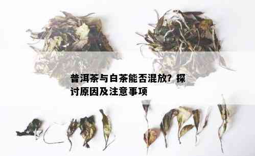 普洱茶与白茶能否混放？探讨原因及注意事项