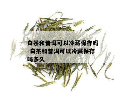 白茶和普洱可以冷藏保存吗-白茶和普洱可以冷藏保存吗多久