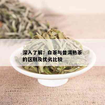 深入了解：白茶与普洱熟茶的区别及优劣比较