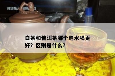 白茶和普洱茶哪个泡水喝更好？区别是什么？