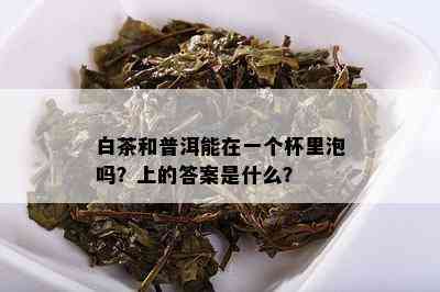 白茶和普洱能在一个杯里泡吗？上的答案是什么？