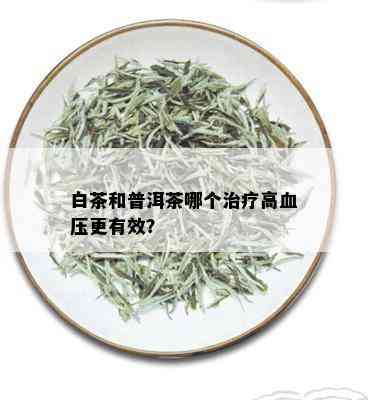 白茶和普洱茶哪个治疗高血压更有效？