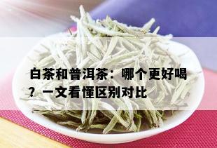 白茶和普洱茶：哪个更好喝？一文看懂区别对比