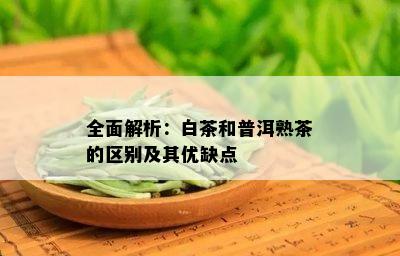 全面解析：白茶和普洱熟茶的区别及其优缺点