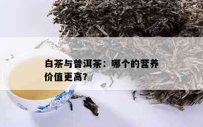 白茶与普洱茶：哪个的营养价值更高？