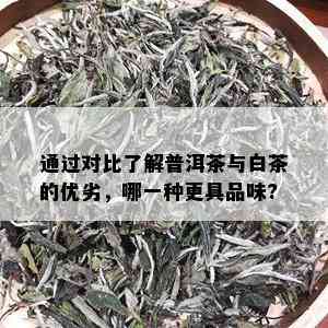 通过对比了解普洱茶与白茶的优劣，哪一种更具品味?