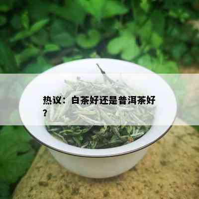 热议：白茶好还是普洱茶好？