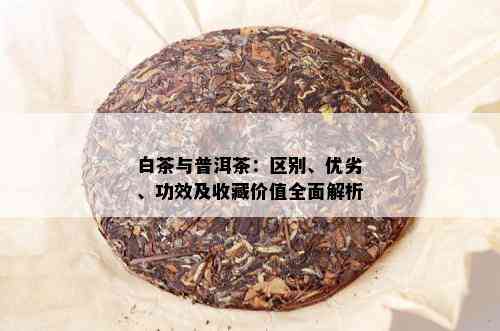 白茶与普洱茶：区别、优劣、功效及收藏价值全面解析