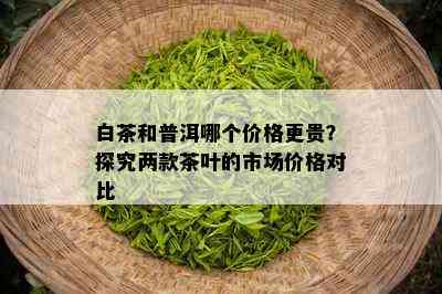 白茶和普洱哪个价格更贵？探究两款茶叶的市场价格对比