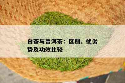 白茶与普洱茶：区别、优劣势及功效比较