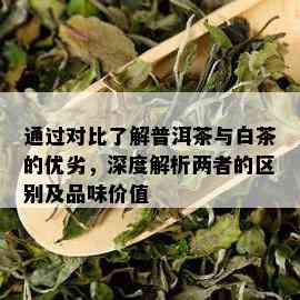 通过对比了解普洱茶与白茶的优劣，深度解析两者的区别及品味价值