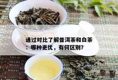 通过对比了解普洱茶和白茶：哪种更优，有何区别？