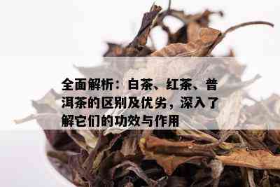 全面解析：白茶、红茶、普洱茶的区别及优劣，深入了解它们的功效与作用