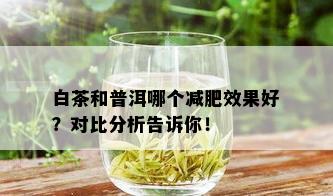 白茶和普洱哪个减肥效果好？对比分析告诉你！