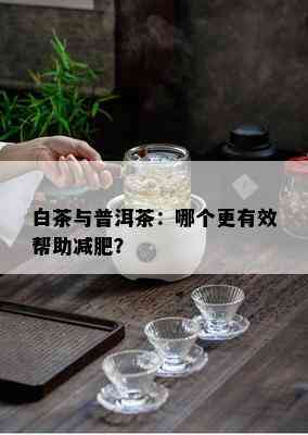 白茶与普洱茶：哪个更有效帮助减肥？