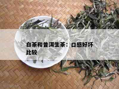 白茶和普洱生茶：口感好坏比较