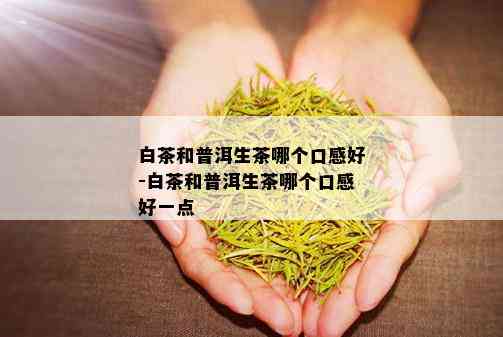 白茶和普洱生茶哪个口感好-白茶和普洱生茶哪个口感好一点