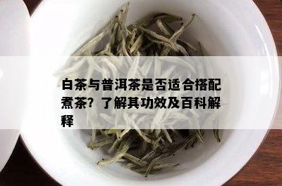 白茶与普洱茶是否适合搭配煮茶？了解其功效及百科解释