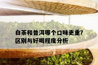 白茶和普洱哪个口味更重？区别与好喝程度分析