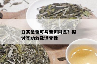 白茶是否可与普洱同煮？探讨其功效及适宜性