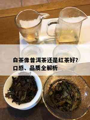 白茶像普洱茶还是红茶好？口感、品质全解析