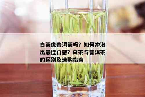 白茶像普洱茶吗？如何冲泡出更佳口感？白茶与普洱茶的区别及选购指南