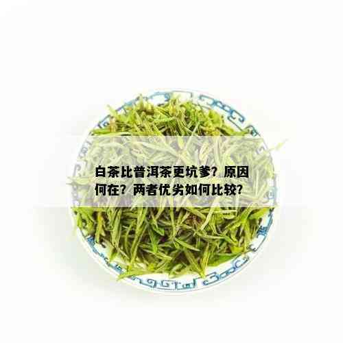 白茶比普洱茶更坑爹？原因何在？两者优劣如何比较？