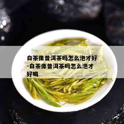 白茶像普洱茶吗怎么泡才好-白茶像普洱茶吗怎么泡才好喝