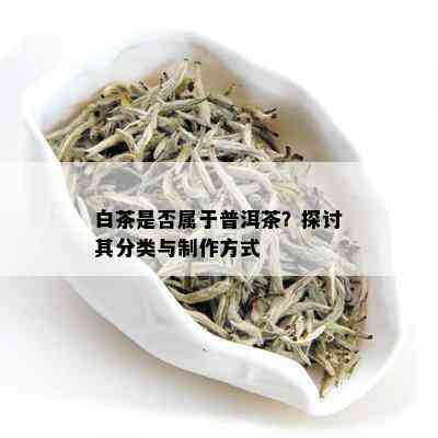 白茶是否属于普洱茶？探讨其分类与制作方式