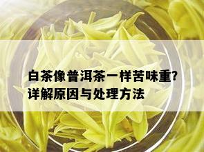 白茶像普洱茶一样苦味重？详解原因与处理方法