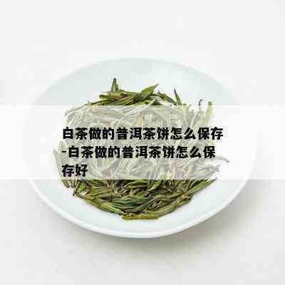 白茶做的普洱茶饼怎么保存-白茶做的普洱茶饼怎么保存好