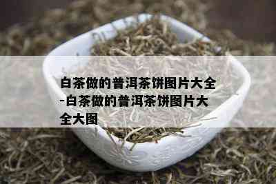 白茶做的普洱茶饼图片大全-白茶做的普洱茶饼图片大全大图