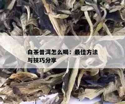 白茶普洱怎么喝：更佳方法与技巧分享