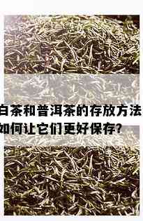 白茶和普洱茶的存放方法：如何让它们更好保存？