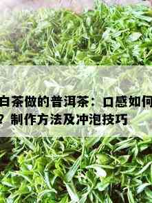 白茶做的普洱茶：口感如何？制作方法及冲泡技巧