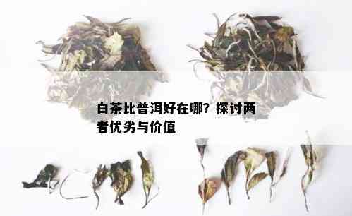 白茶比普洱好在哪？探讨两者优劣与价值