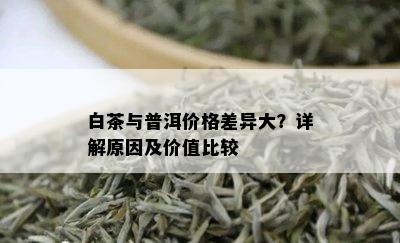 白茶与普洱价格差异大？详解原因及价值比较