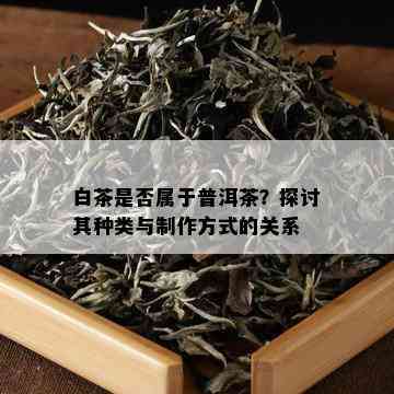 白茶是否属于普洱茶？探讨其种类与制作方式的关系