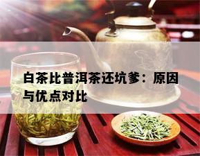 白茶比普洱茶还坑爹：原因与优点对比