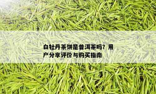 白牡丹茶饼是普洱茶吗？用户分享评价与购买指南