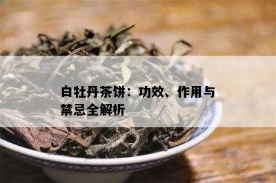 白牡丹茶饼：功效、作用与禁忌全解析