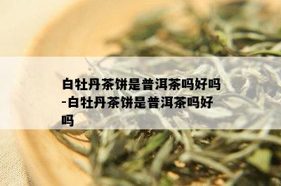 白牡丹茶饼是普洱茶吗好吗-白牡丹茶饼是普洱茶吗好吗