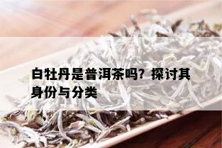 白牡丹是普洱茶吗？探讨其身份与分类