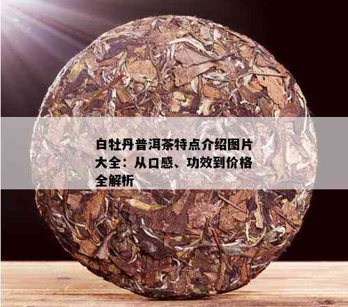 白牡丹普洱茶特点介绍图片大全：从口感、功效到价格全解析