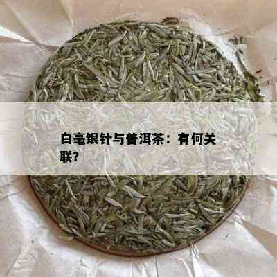 白毫银针与普洱茶：有何关联？