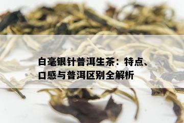 白毫银针普洱生茶：特点、口感与普洱区别全解析