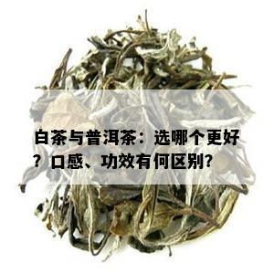 白茶与普洱茶：选哪个更好？口感、功效有何区别？