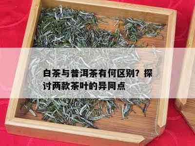 白茶与普洱茶有何区别？探讨两款茶叶的异同点