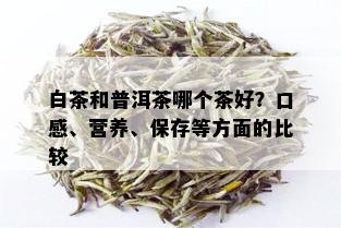 白茶和普洱茶哪个茶好？口感、营养、保存等方面的比较