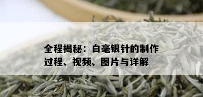 全程揭秘：白毫银针的制作过程、视频、图片与详解